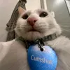 ru6y_chrltt