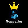 guppy_ins