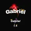 rip_gabriel_s.a