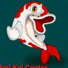 bmlkoicenter