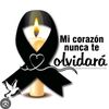 cruzat300121