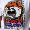 bikplakedewa