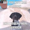 hamsammich07