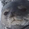 aleksandraczecho1