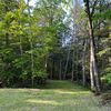 natureupstate