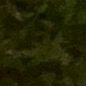 gisellex.7