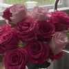 susu_1588