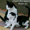 achmad_suwandy