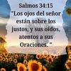 nellymsanchez660