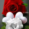 yytln