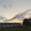 loryluvszozo