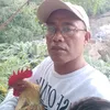 escaretmercoles