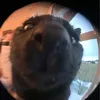 szymondirt0