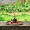 abdulazizshaid40