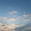 kajuary