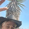 .cactuscrock