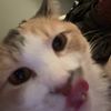 bellawhereyoubeenlowca
