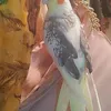 coco and rio