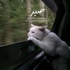 reemnabil22