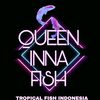 queen inna tropical fish