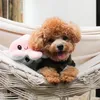 mochibeartoypoodle