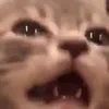 no.sksksie