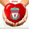 yassin.habeeb1