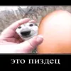 gogall_