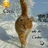 jerzy008