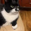 katiuskacabrol09