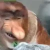 knasken