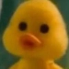 yellow_baby_duck