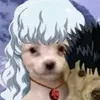 biskvit.btw