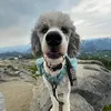 adventuring.aurora