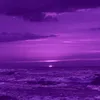 kelleriewhite