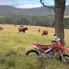haydenlee640