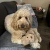 jackiehavingfun