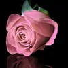 anamsheikh020