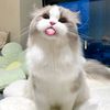 callme__habibi
