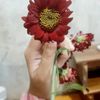 aabdul.g