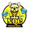 nqc_french_bulldog