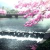 yunxki_114