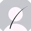 usnamesr
