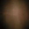 brandonm8202