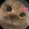 ericaxh.g
