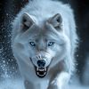 abduldaim29