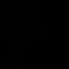 aly_y66