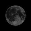 Buckia_moon.