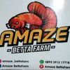 amazebettafarm