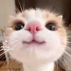 leekimyung02